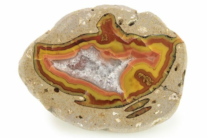 Polished Achat Agate Thunderegg Half - China #260583